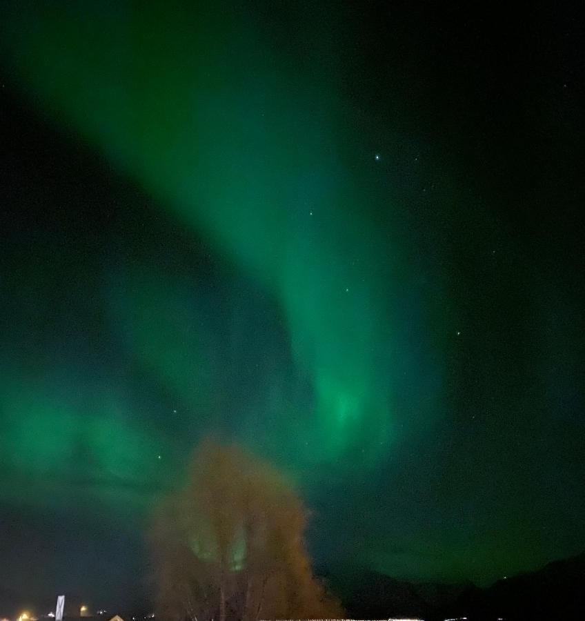 Lyngen, Mackay Appartment, Lyngen Lyngseidet 외부 사진