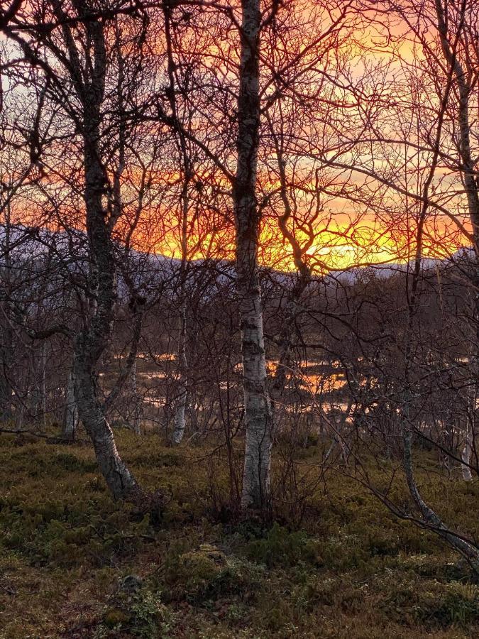Lyngen, Mackay Appartment, Lyngen Lyngseidet 외부 사진