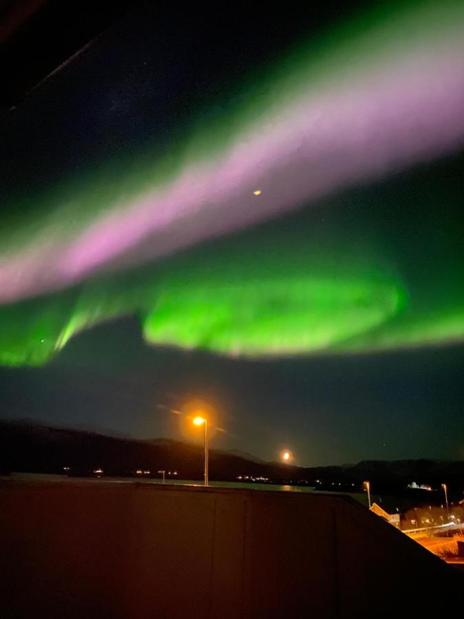 Lyngen, Mackay Appartment, Lyngen Lyngseidet 외부 사진