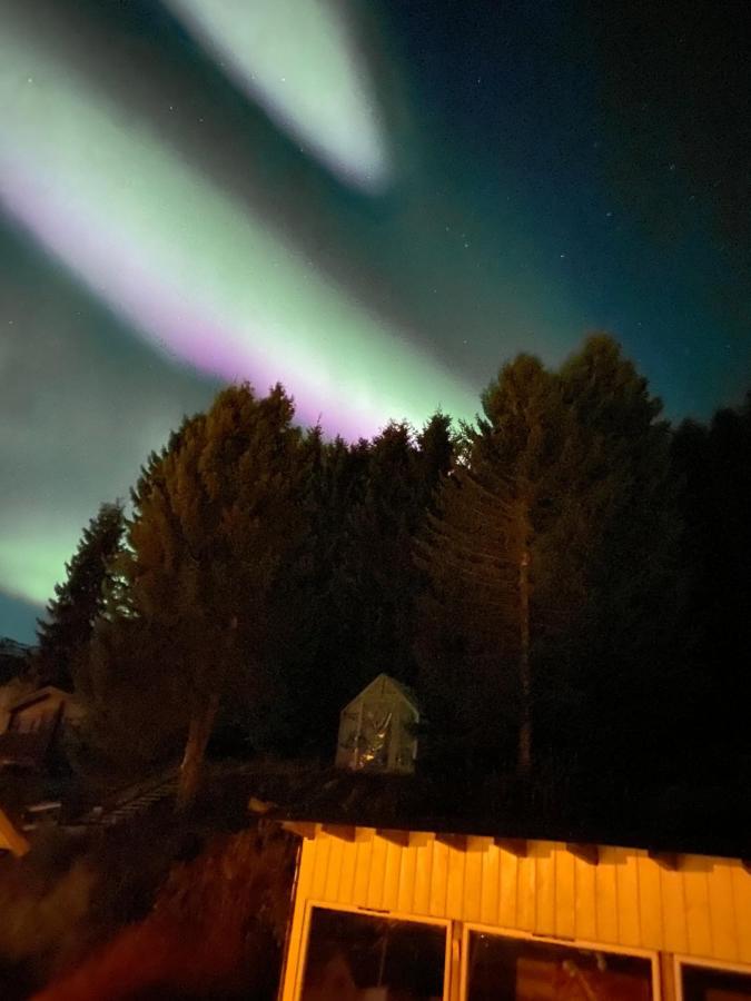 Lyngen, Mackay Appartment, Lyngen Lyngseidet 외부 사진